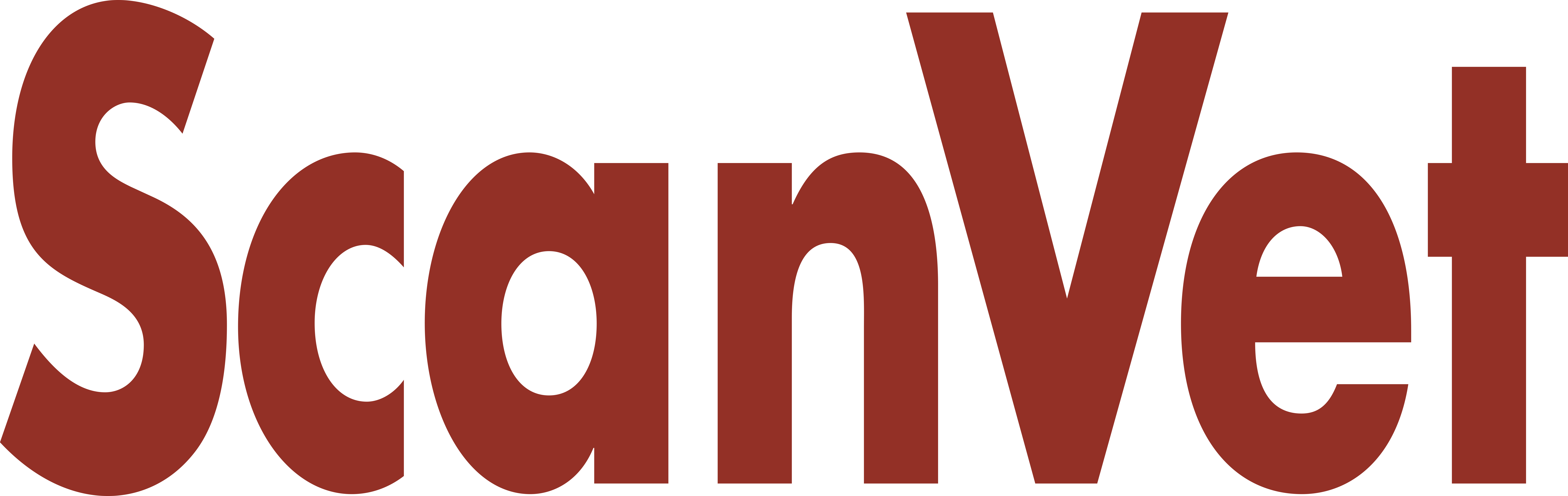 Scanvet logo image