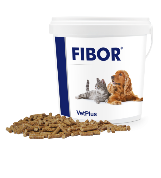 Fibor