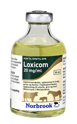 Loxicom