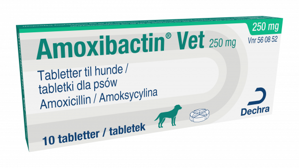 Amoxibactin vet.