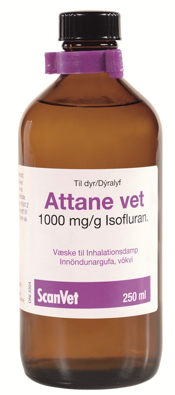 Produktidentifikation - 055226 Produktidentifikation - 055226
