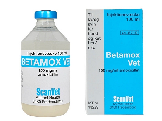 Betamox vet.