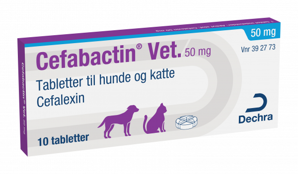 Cefabactin vet.