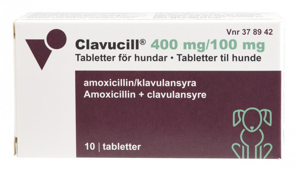 Clavucill (30 - 40 kg)