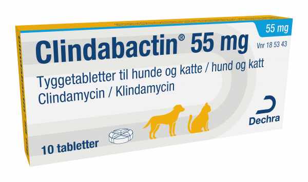 Clindabactin