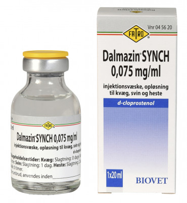Dalmazin Synch