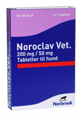 Noroclav vet.