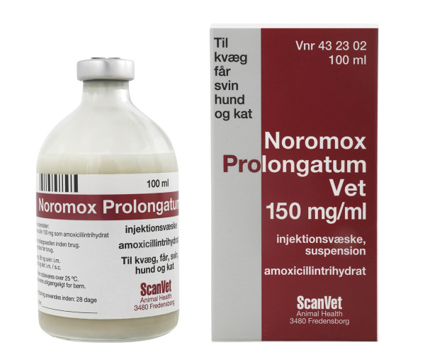 Noromox Prolongatum vet.