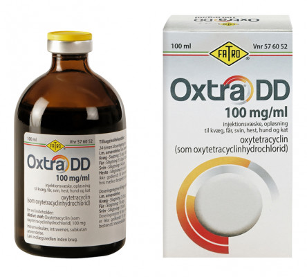 Oxtra DD