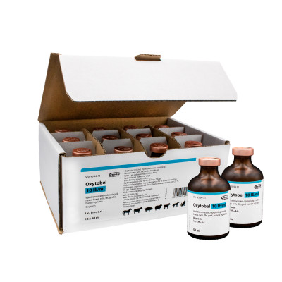 Oxytobel