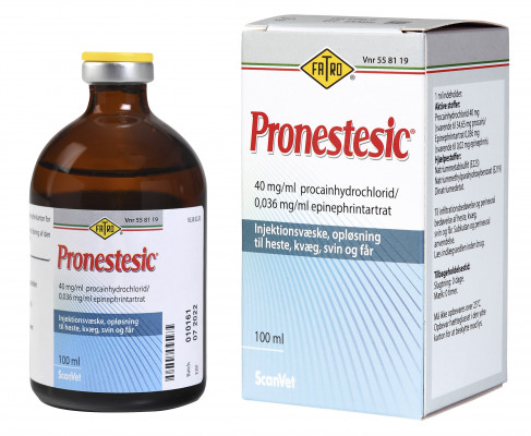 Pronestesic vet.