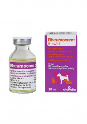 Rheumocam
