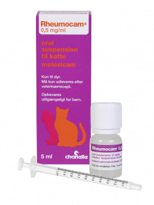 Rheumocam