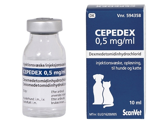 Cepedex