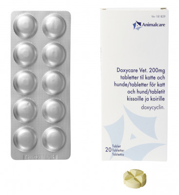 Doxycare vet.