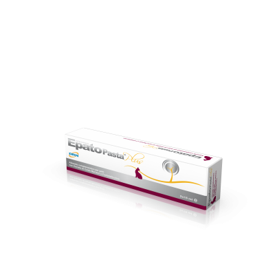 DRN Epato Pasta