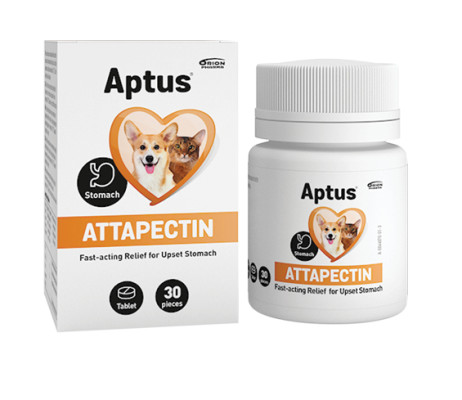 Aptus Attapectin