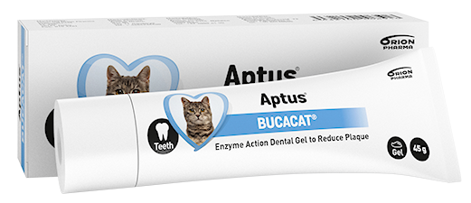 Aptus Bucacat