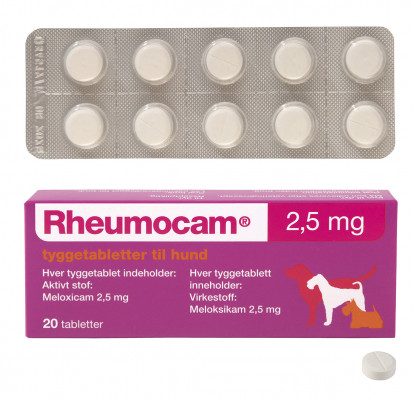 Rheumocam (20 - 25 kg)