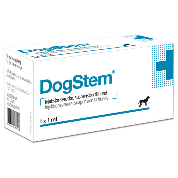 DogStem